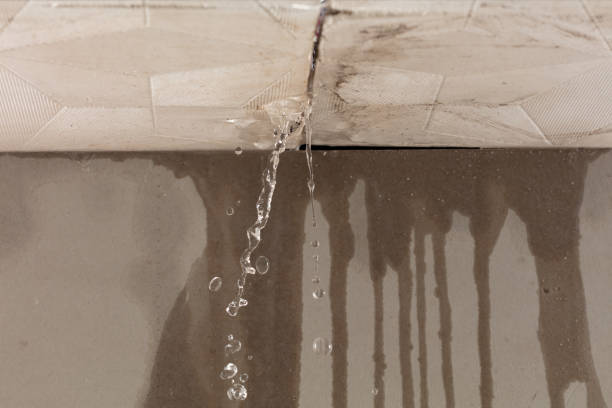 Professional Water Damage Inspection technician working in Hagerstown, MD